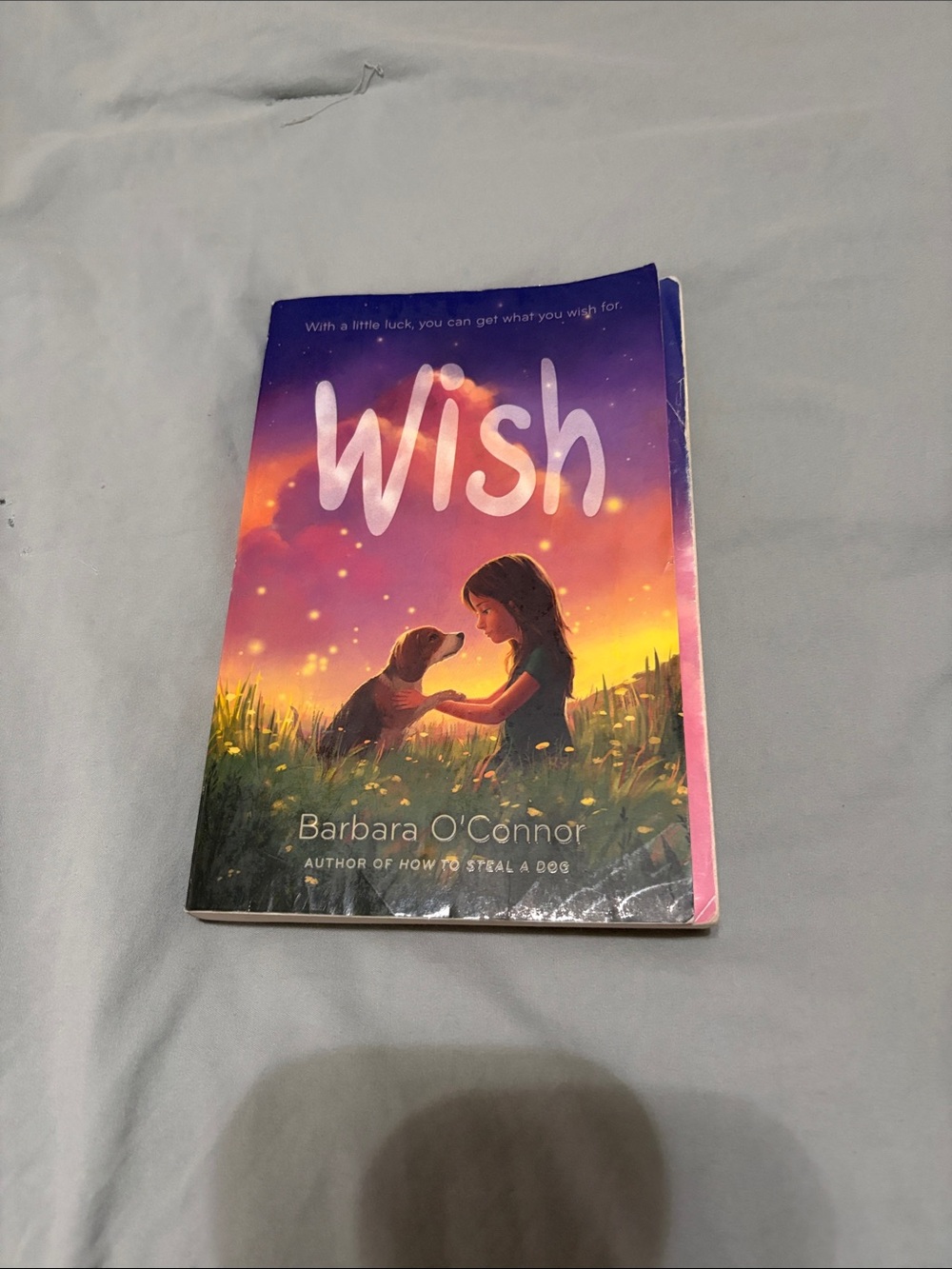 'Wish' Paperback Book - Purple & Pink Cover